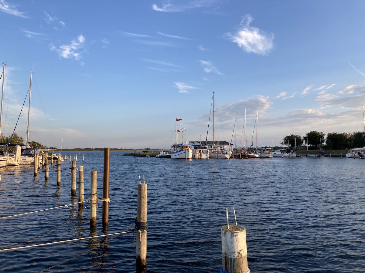 Hestehoved bei Nakskov auf Lolland