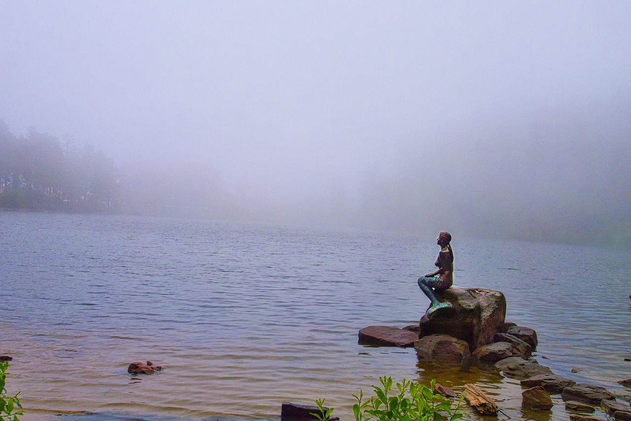 Es muss nicht immer der Ozean sein &ndash; auch im Mummelsee/Schwarzwald wurden sie offenbar gesichtet