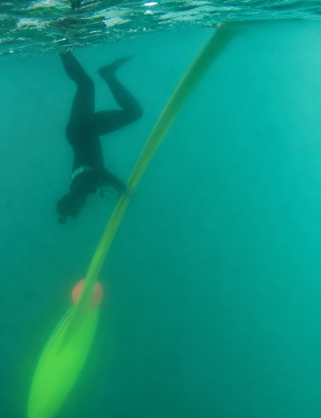 Tauchgang w&auml;hrend der Hochseeregatta Vend&eacute;e Arctique 2026