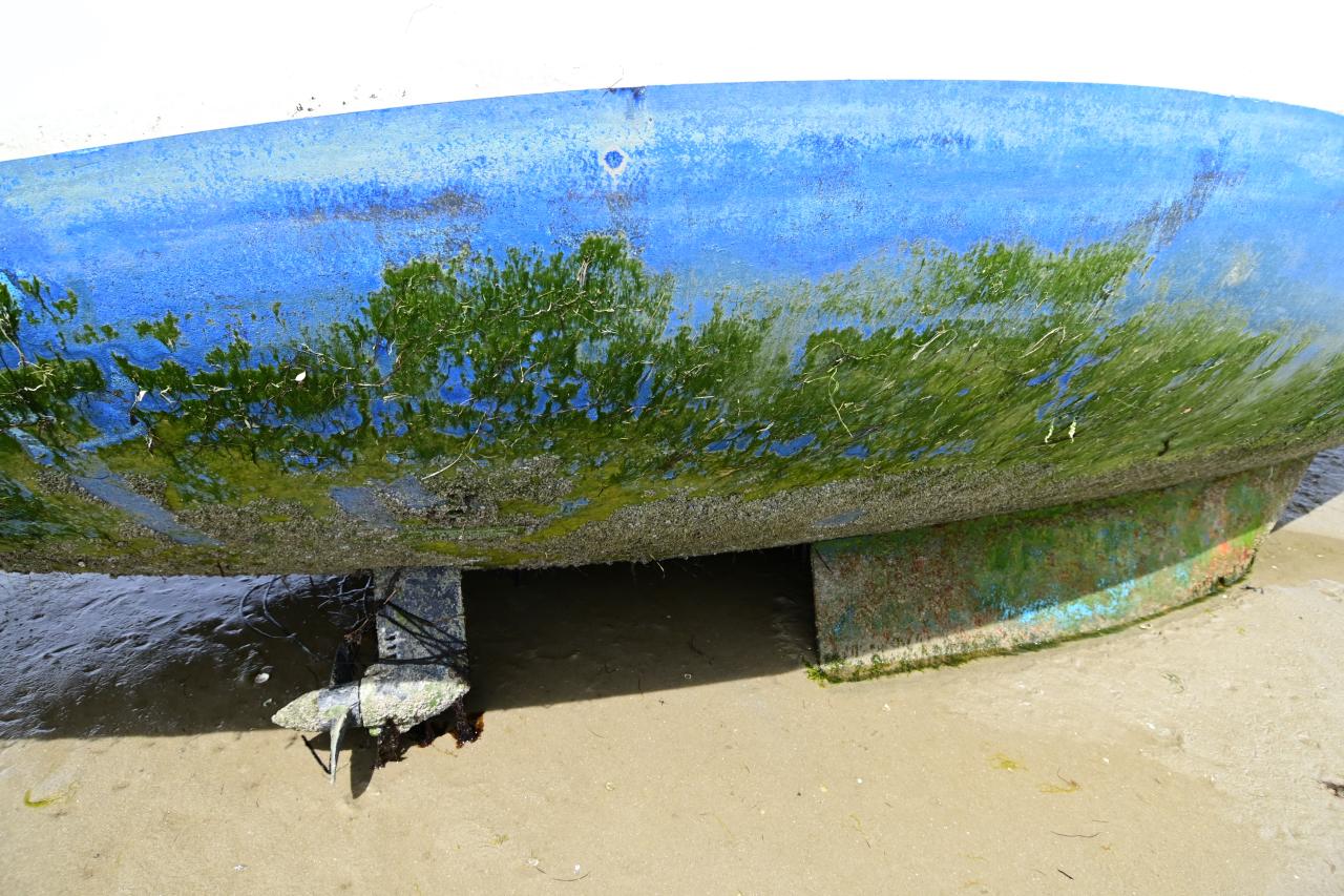 Je nach Gew&auml;sser, muss Antifouling-Anstrich jedes Jahr erneuert werden &copy; miku