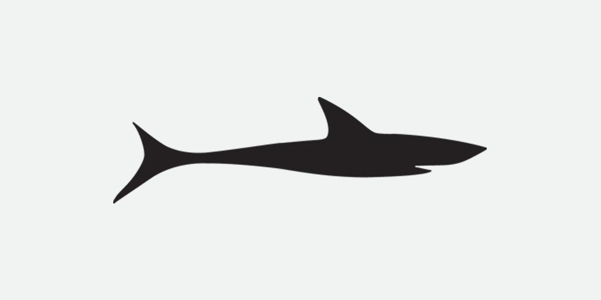 Shark24